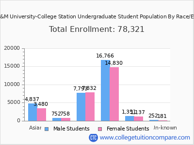 Texas A&M University-College Station 2025 Undergraduate Enrollment by Gender and Race chart