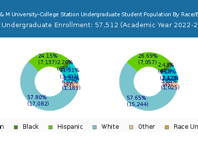 Texas A & M University-College Station 2023 Undergraduate Enrollment by Gender and Race chart