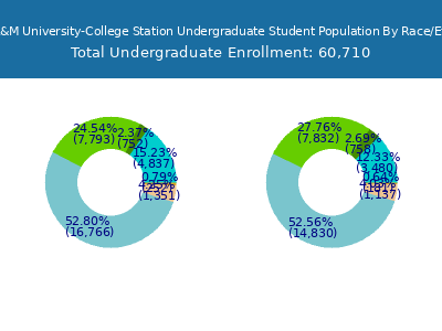 Texas A&M University-College Station 2025 Undergraduate Enrollment by Gender and Race chart