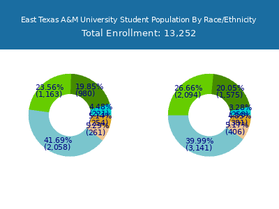 East Texas A&M University 2025 Student Population by Gender and Race chart
