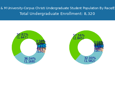 Texas A & M University-Corpus Christi 2025 Undergraduate Enrollment by Gender and Race chart