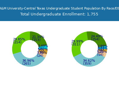 Texas A&M University-Central Texas 2025 Undergraduate Enrollment by Gender and Race chart