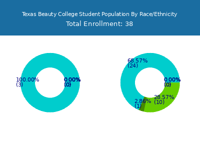 Texas Beauty College 2025 Student Population by Gender and Race chart