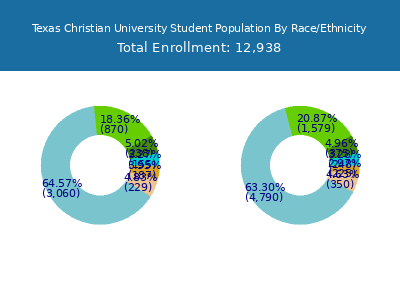 Texas Christian University 2025 Student Population by Gender and Race chart
