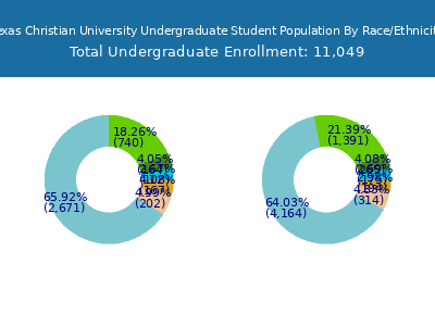Texas Christian University 2025 Undergraduate Enrollment by Gender and Race chart