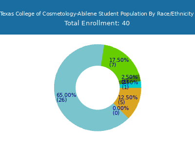 Texas College of Cosmetology-Abilene 2025 Student Population by Gender and Race chart