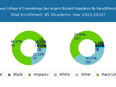 Texas College of Cosmetology-San Angelo 2023 Student Population by Gender and Race chart