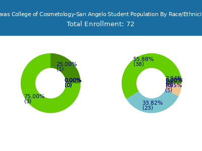 Texas College of Cosmetology-San Angelo 2025 Student Population by Gender and Race chart