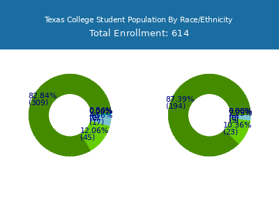Texas College 2025 Student Population by Gender and Race chart