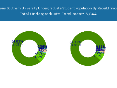 Texas Southern University 2025 Undergraduate Enrollment by Gender and Race chart