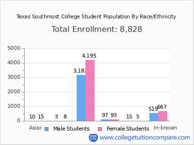 Texas Southmost College 2025 Student Population by Gender and Race chart