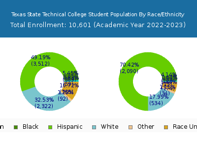 Texas State Technical College 2023 Student Population by Gender and Race chart