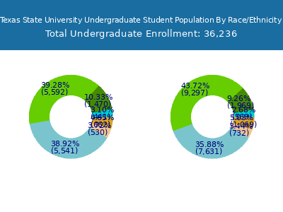 Texas State University 2025 Undergraduate Enrollment by Gender and Race chart