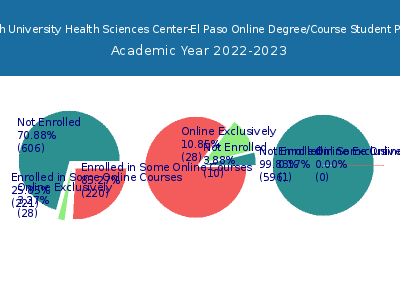 Texas Tech University Health Sciences Center-El Paso 2023 Online Student Population chart