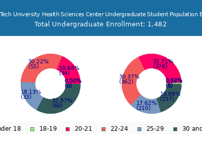 Texas Tech University Health Sciences Center 2024 Undergraduate Enrollment Age Diversity Pie chart