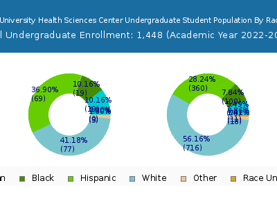 Texas Tech University Health Sciences Center 2023 Undergraduate Enrollment by Gender and Race chart