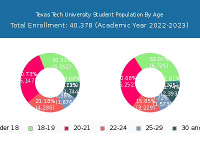 Texas Tech University 2023 Student Population Age Diversity Pie chart