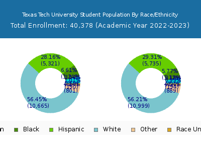 Texas Tech University 2023 Student Population by Gender and Race chart