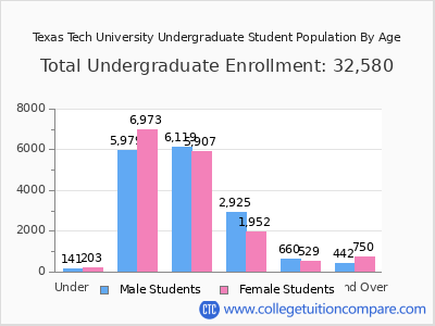 Texas Tech University 2025 Undergraduate Enrollment by Age chart