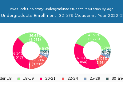 Texas Tech University 2023 Undergraduate Enrollment Age Diversity Pie chart