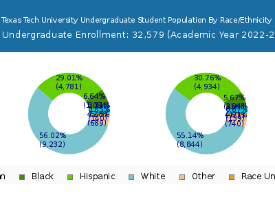 Texas Tech University 2023 Undergraduate Enrollment by Gender and Race chart