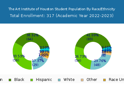 The Art Institute of Houston 2023 Student Population by Gender and Race chart