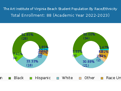 The Art Institute of Virginia Beach 2023 Student Population by Gender and Race chart