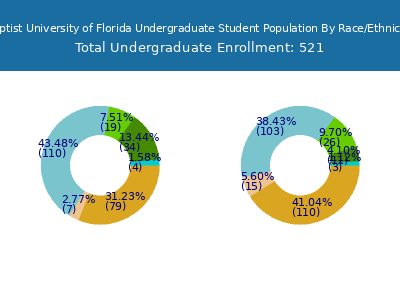 Baptist University of Florida 2025 Undergraduate Enrollment by Gender and Race chart
