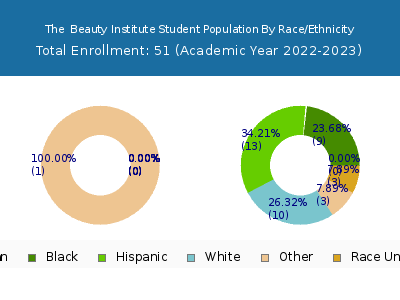 The  Beauty Institute 2023 Student Population by Gender and Race chart