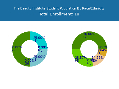 The Beauty Institute 2025 Student Population by Gender and Race chart