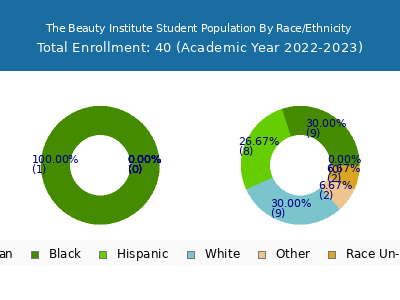 The Beauty Institute 2023 Student Population by Gender and Race chart