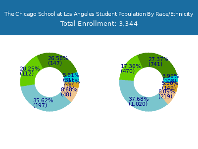The Chicago School at Los Angeles 2025 Student Population by Gender and Race chart