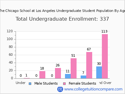 The Chicago School at Los Angeles 2024 Undergraduate Enrollment by Age chart