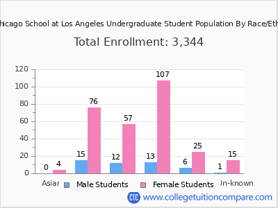 The Chicago School at Los Angeles 2025 Undergraduate Enrollment by Gender and Race chart
