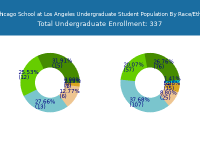 The Chicago School at Los Angeles 2025 Undergraduate Enrollment by Gender and Race chart