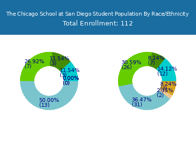 The Chicago School at San Diego 2025 Student Population by Gender and Race chart