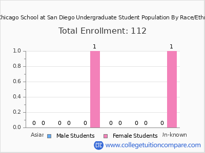The Chicago School at San Diego 2025 Undergraduate Enrollment by Gender and Race chart