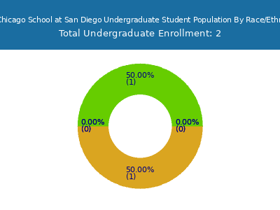 The Chicago School at San Diego 2025 Undergraduate Enrollment by Gender and Race chart