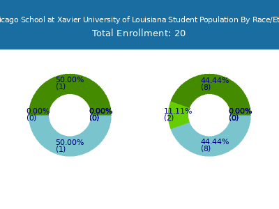 The Chicago School at Xavier University of Louisiana 2025 Student Population by Gender and Race chart