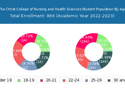 The Christ College of Nursing and Health Sciences 2023 Student Population Age Diversity Pie chart