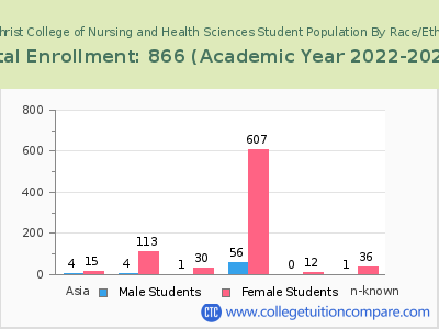 The Christ College of Nursing and Health Sciences 2023 Student Population by Gender and Race chart