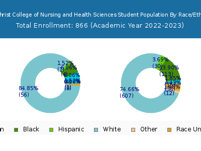 The Christ College of Nursing and Health Sciences 2023 Student Population by Gender and Race chart