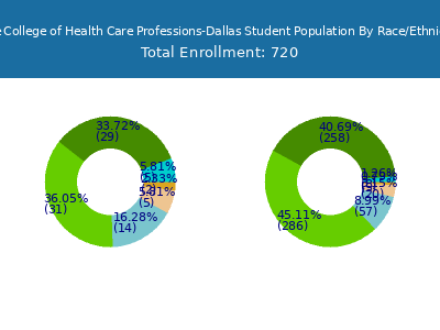 The College of Health Care Professions-Dallas 2025 Student Population by Gender and Race chart