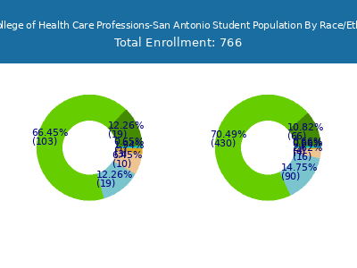 The College of Health Care Professions-San Antonio 2025 Student Population by Gender and Race chart