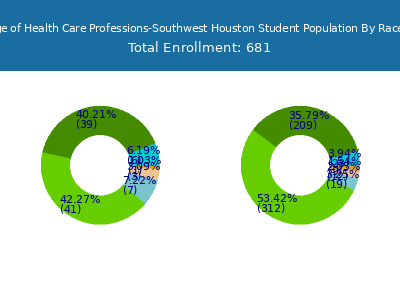 The College of Health Care Professions-Southwest Houston 2025 Student Population by Gender and Race chart
