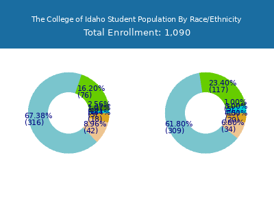 The College of Idaho 2025 Student Population by Gender and Race chart
