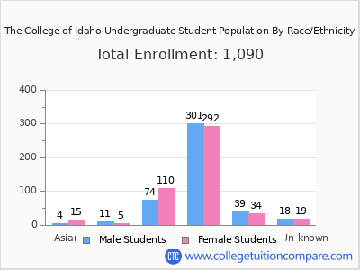 The College of Idaho 2025 Undergraduate Enrollment by Gender and Race chart