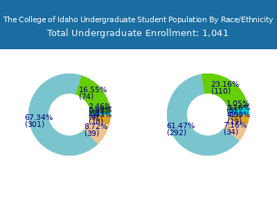 The College of Idaho 2025 Undergraduate Enrollment by Gender and Race chart
