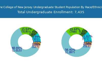 The College of New Jersey 2025 Undergraduate Enrollment by Gender and Race chart