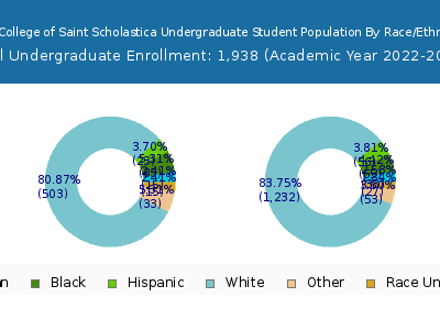 The College of Saint Scholastica 2023 Undergraduate Enrollment by Gender and Race chart